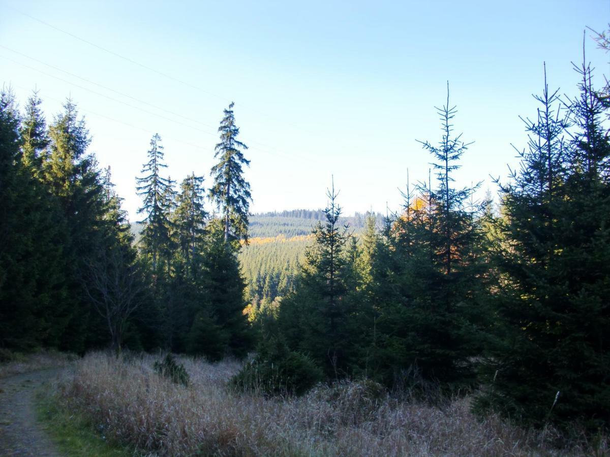 Ferienwohnung Arnika Inklusive Waeschepaket Braunlage Exterior foto