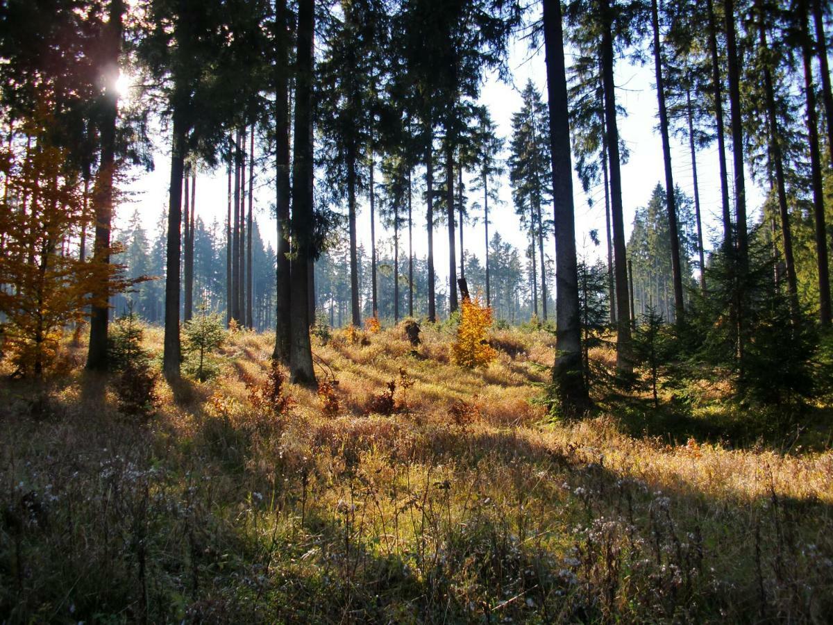 Ferienwohnung Arnika Inklusive Waeschepaket Braunlage Exterior foto