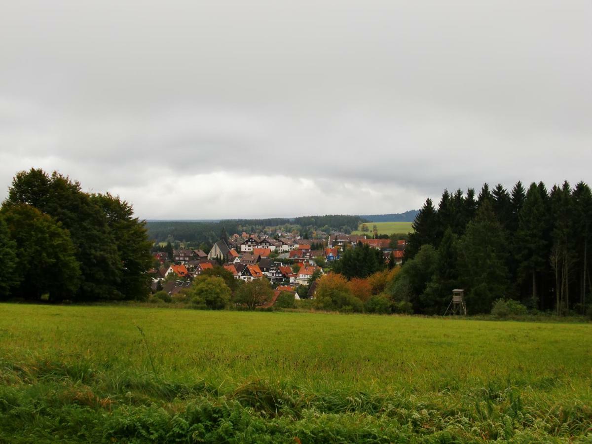 Ferienwohnung Arnika Inklusive Waeschepaket Braunlage Exterior foto