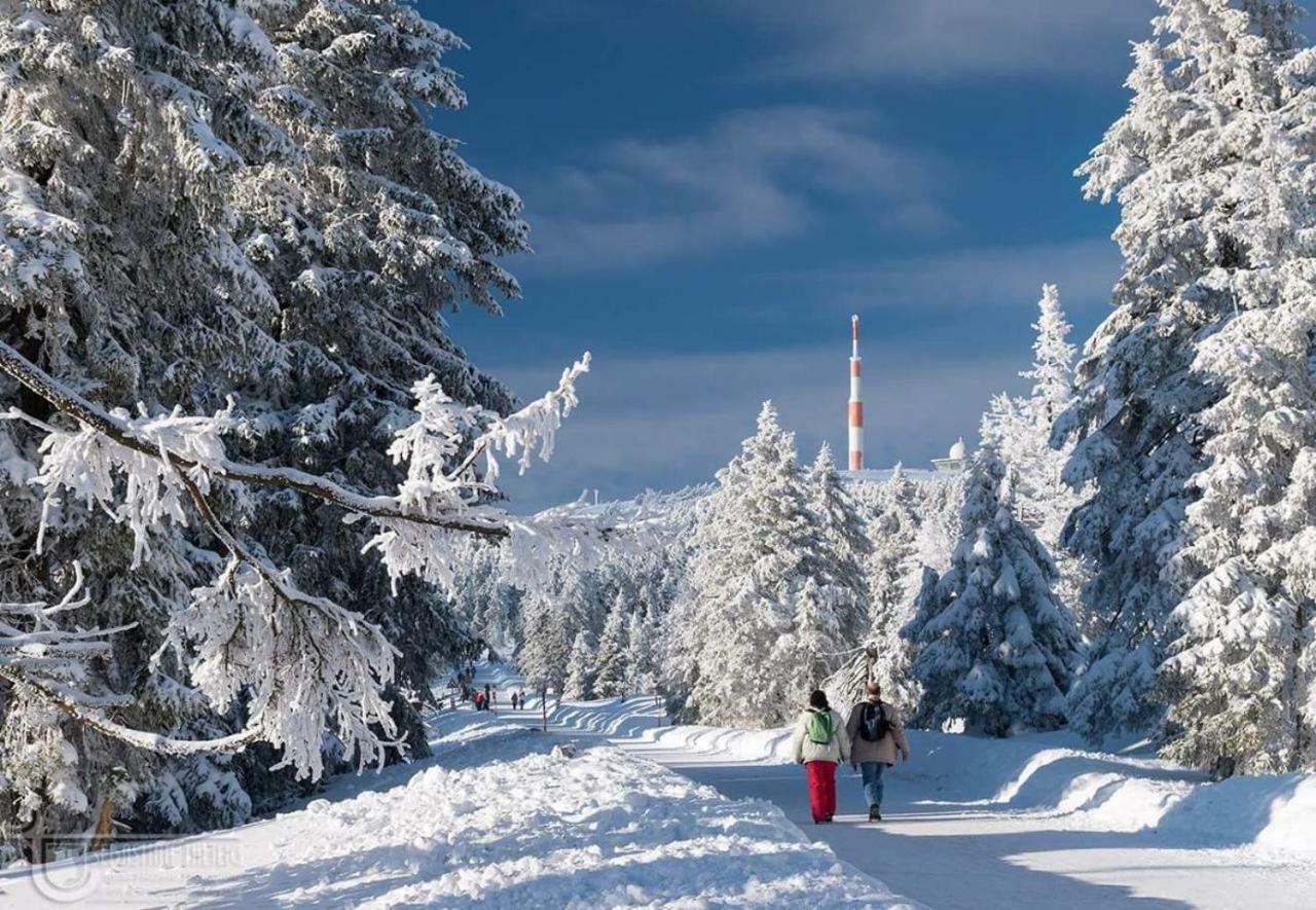 Ferienwohnung Arnika Inklusive Waeschepaket Braunlage Exterior foto